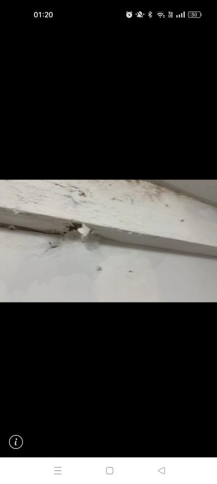 漏水處理案件圖片