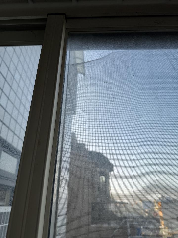 紗窗裝修案件圖片