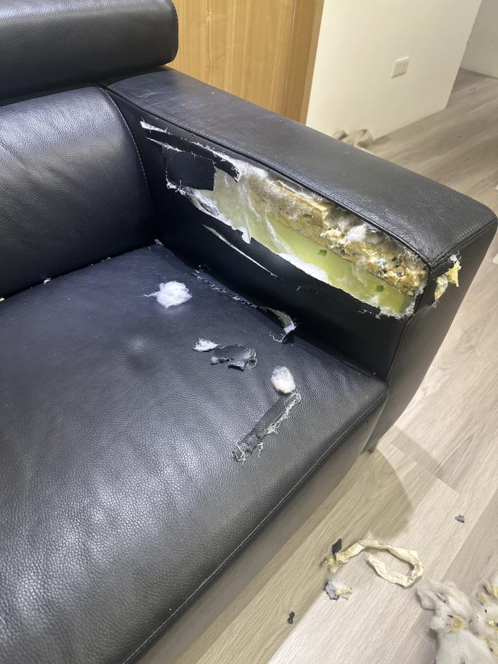 沙發修理案件圖片