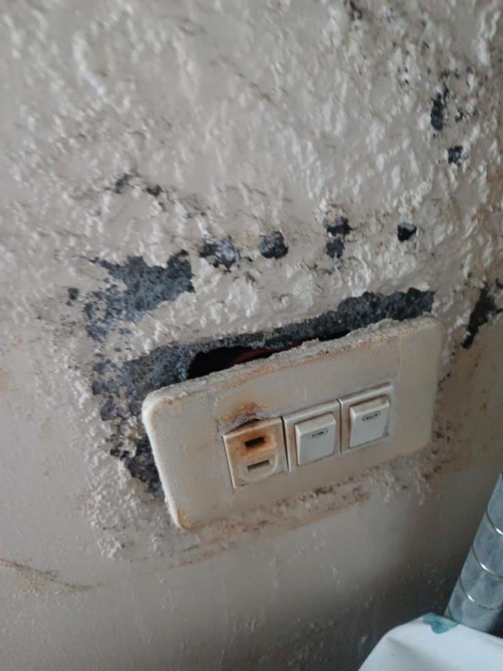 電線裝修案件圖片