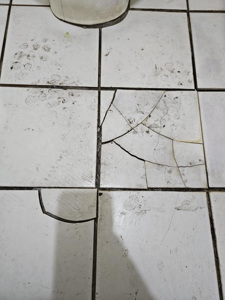 磁磚修補案件圖片