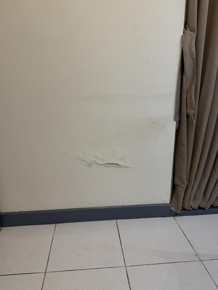 壁癌處理案件圖片