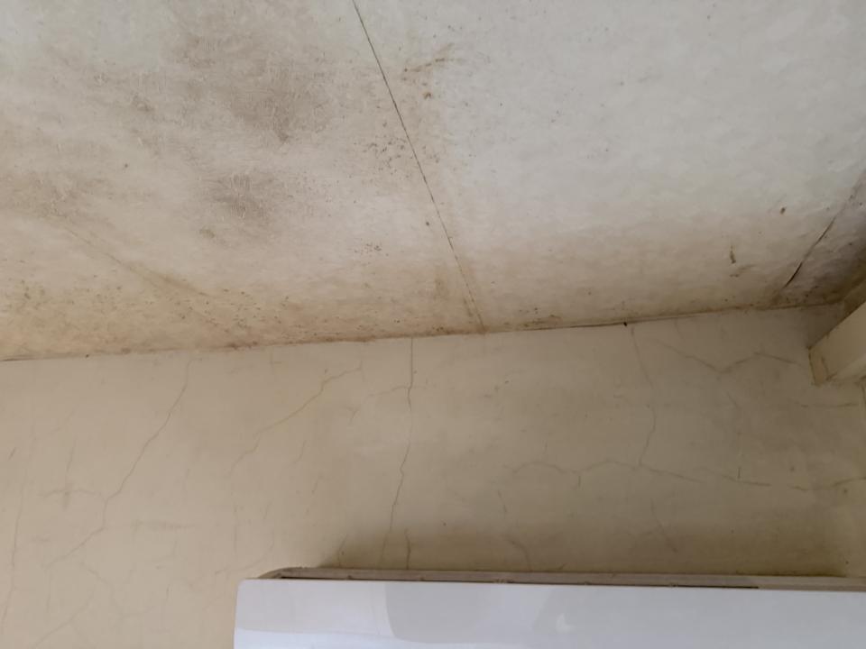 壁紙清除案件圖片