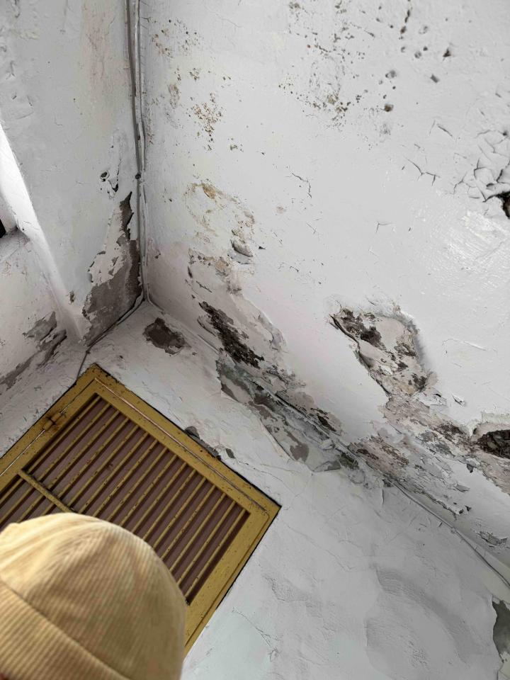 油漆工程案件圖片