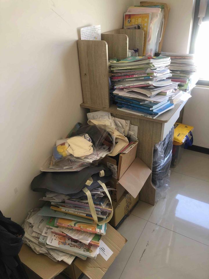 大型垃圾回收案件圖片