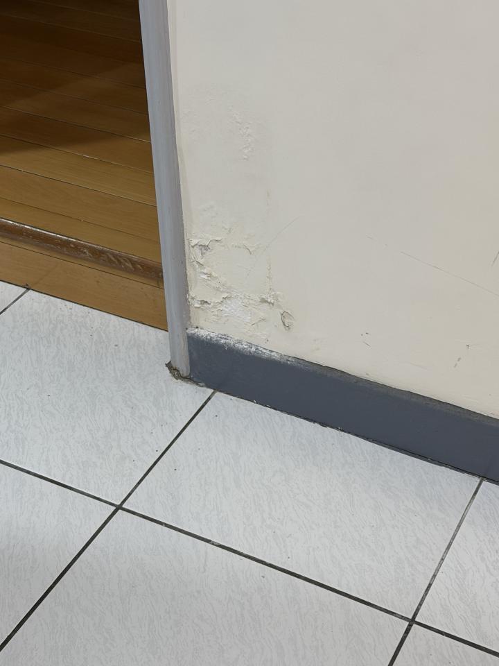 壁癌處理案件圖片