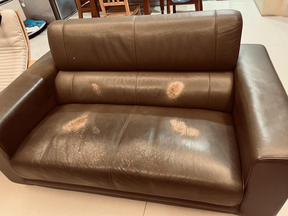 沙發修理案件圖片