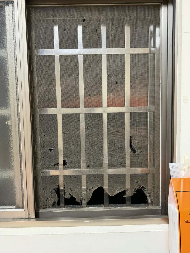 紗窗裝修案件圖片