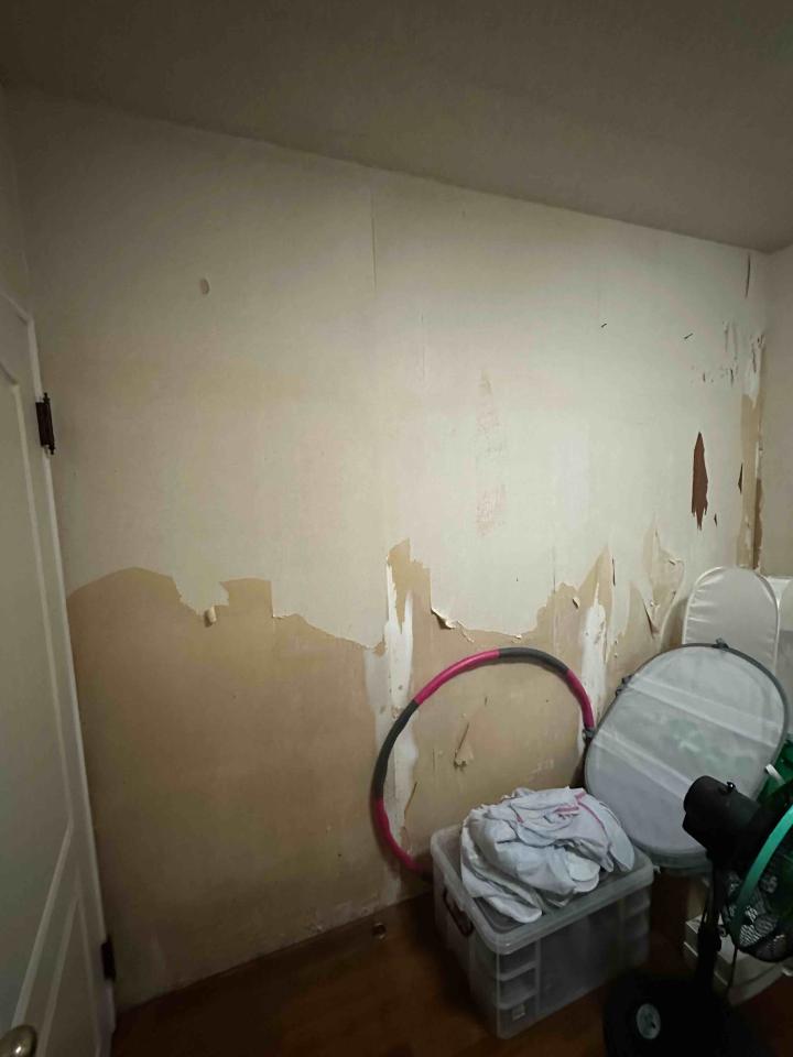 壁紙施工案件圖片