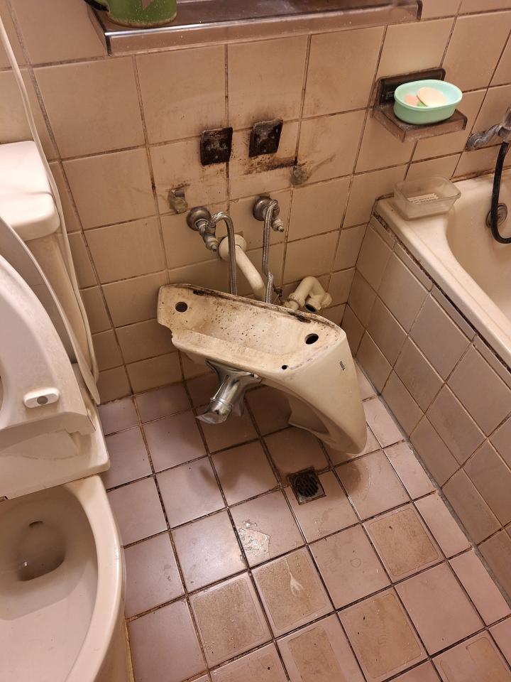 洗臉盆裝修案件圖片