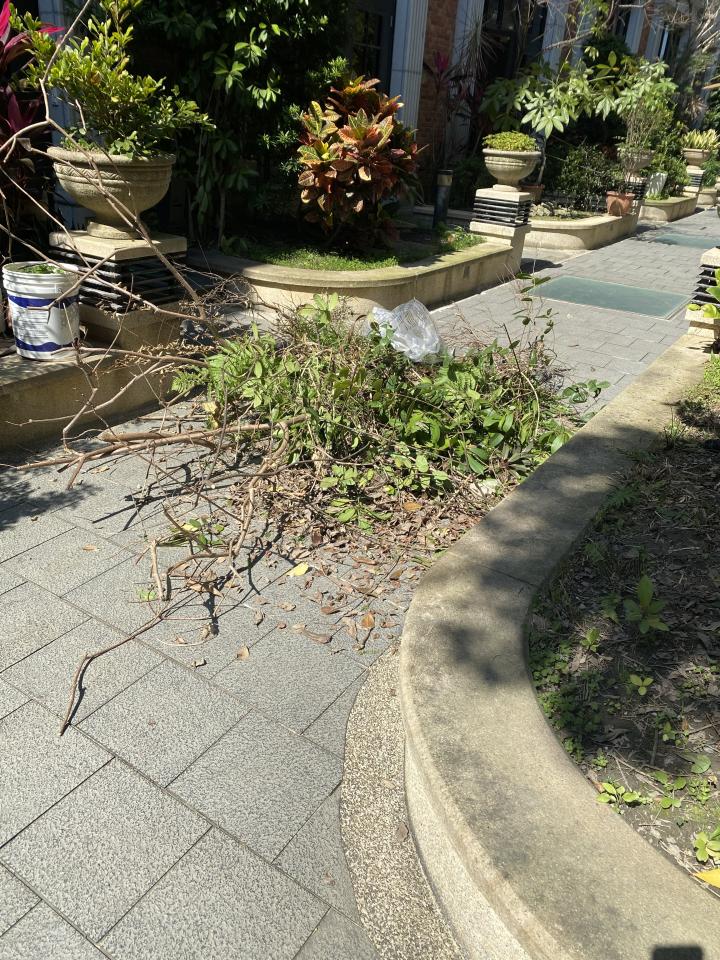 大型垃圾回收案件圖片