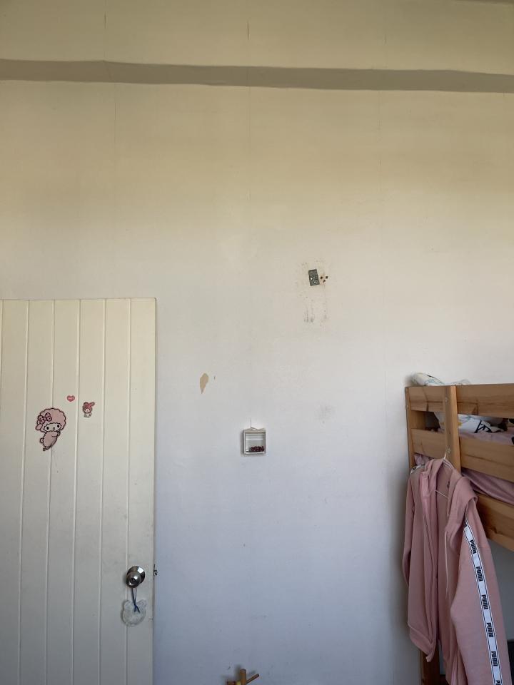 壁紙施工案件圖片