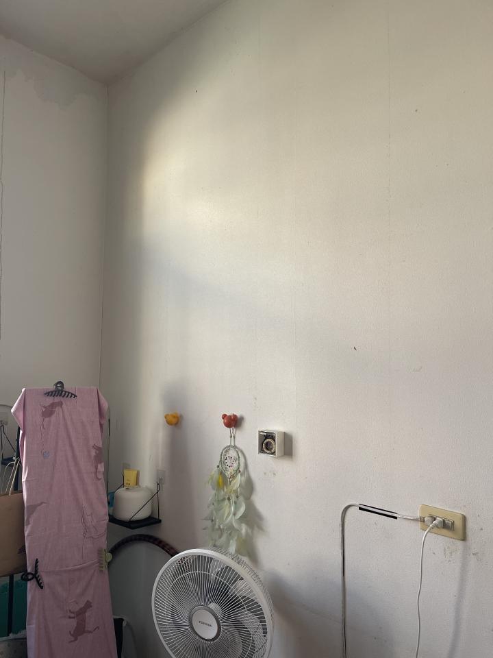 壁紙施工案件圖片