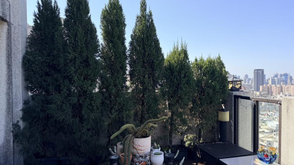 花園自動灑水系統案件圖片