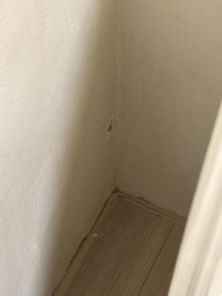 油漆工程案件圖片