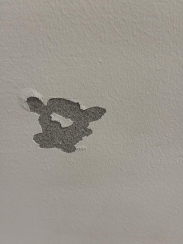 油漆工程案件圖片