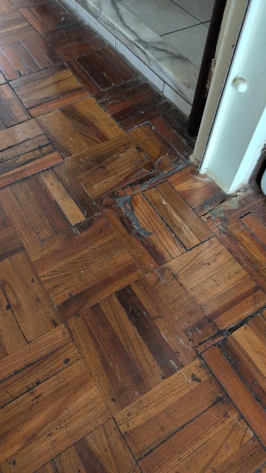 地板拋光打蠟案件圖片