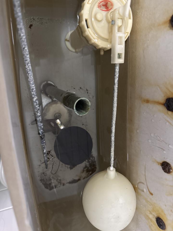 馬桶裝修案件圖片