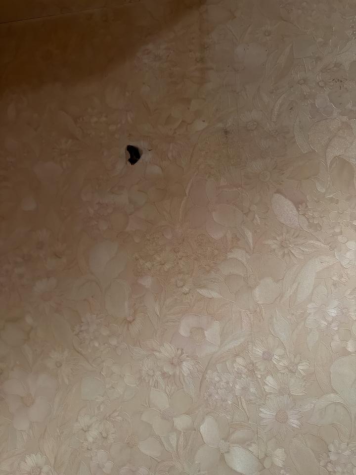 木工施工案件圖片