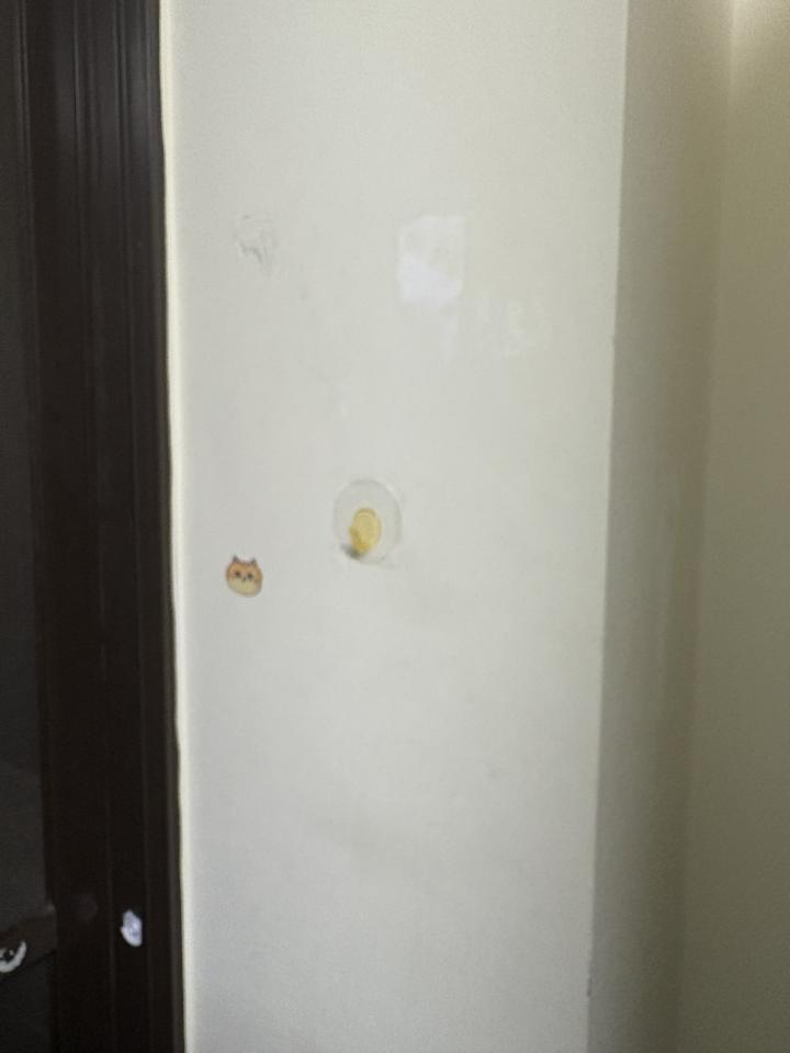 油漆工程案件圖片