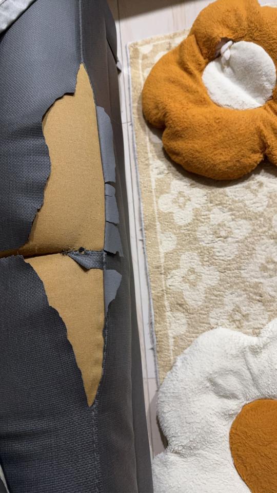 沙發修理案件圖片