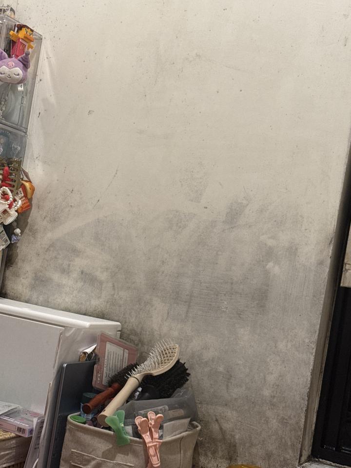 除霉案件圖片
