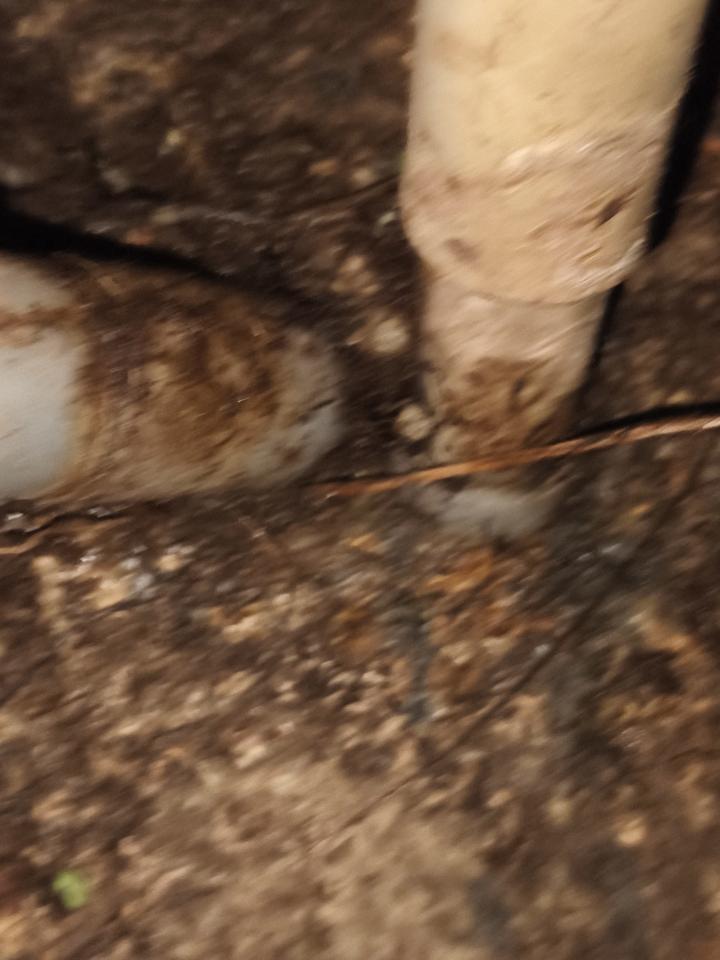 水電行案件圖片