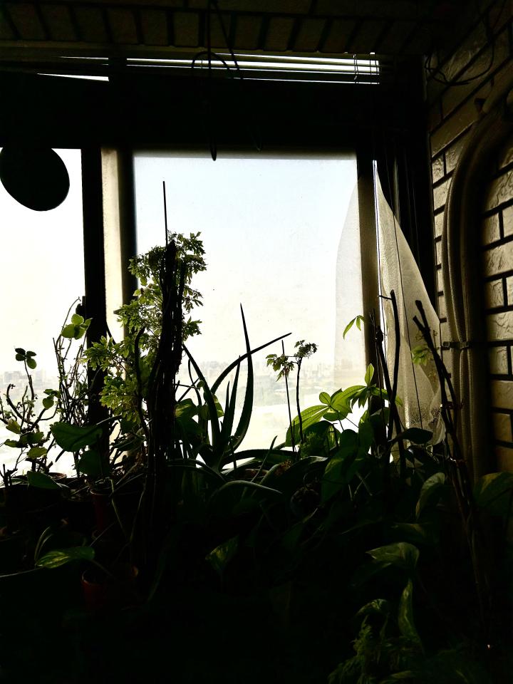 紗窗裝修案件圖片