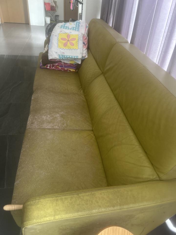 沙發修理案件圖片