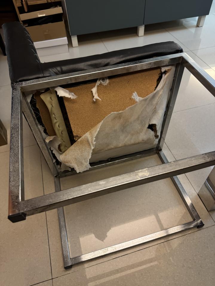 沙發修理案件圖片