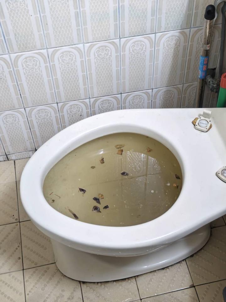 通馬桶案件圖片