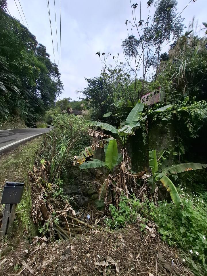 園藝維護案件圖片