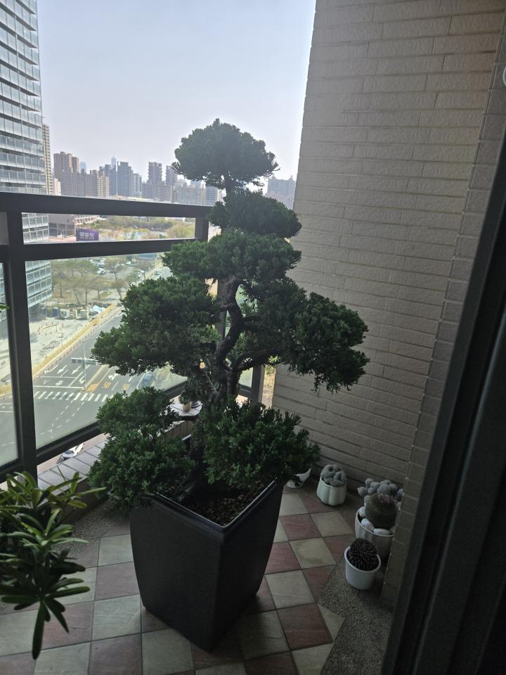 園藝維護案件圖片