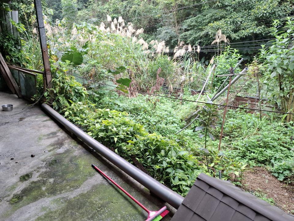 園藝維護案件圖片