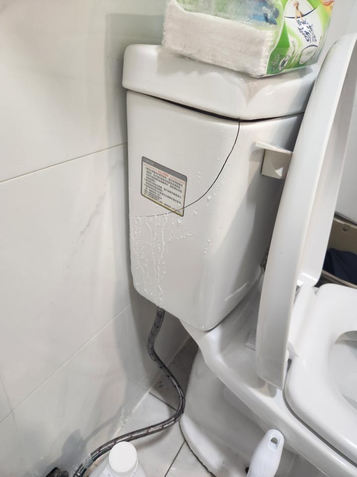 馬桶裝修案件圖片