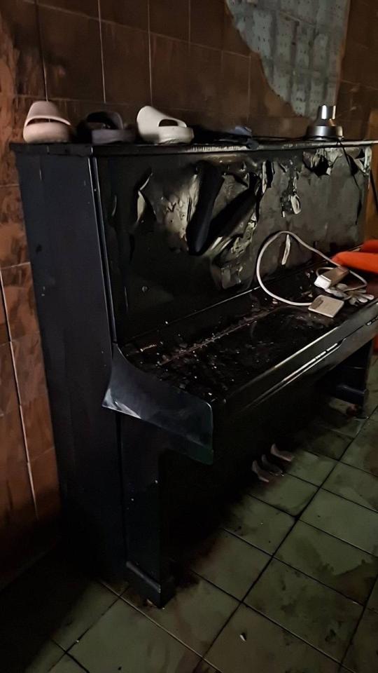 樂器行案件圖片