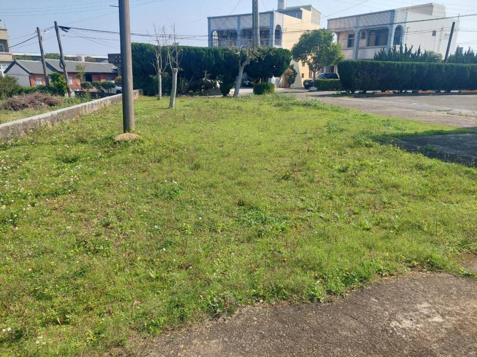 園藝維護案件圖片