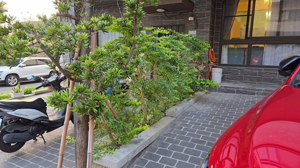 園藝維護案件圖片