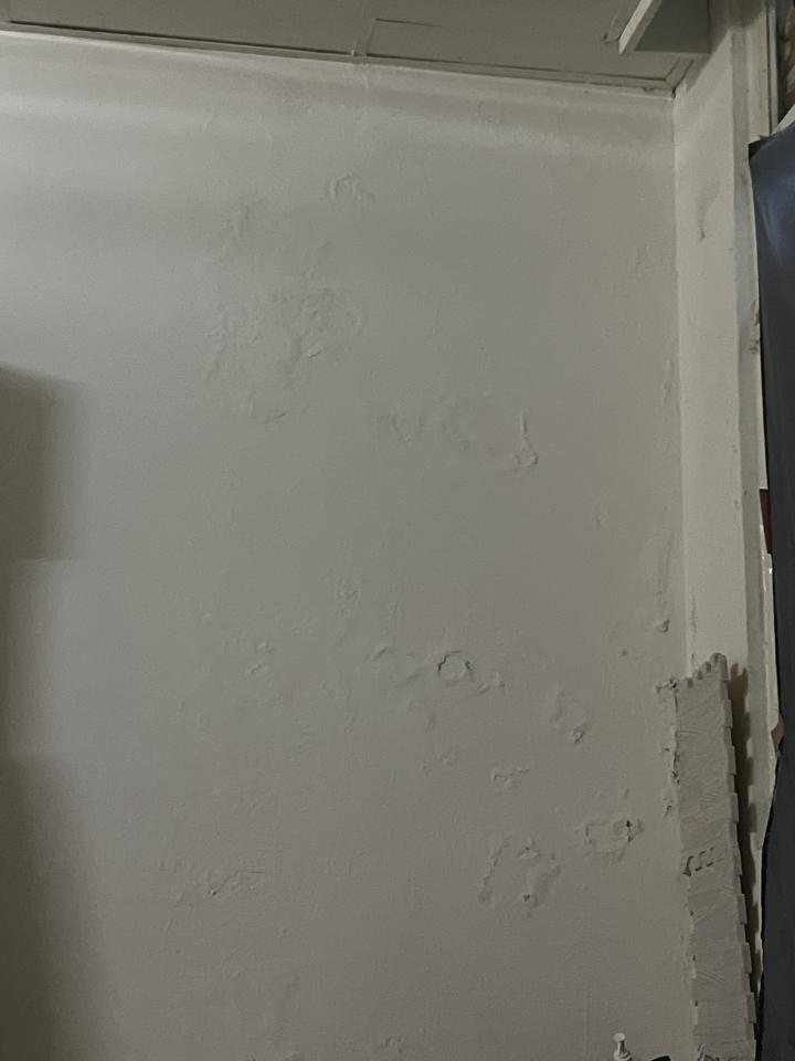 壁癌處理案件圖片