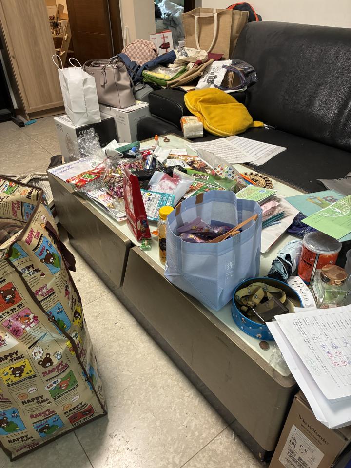 大型垃圾回收案件圖片