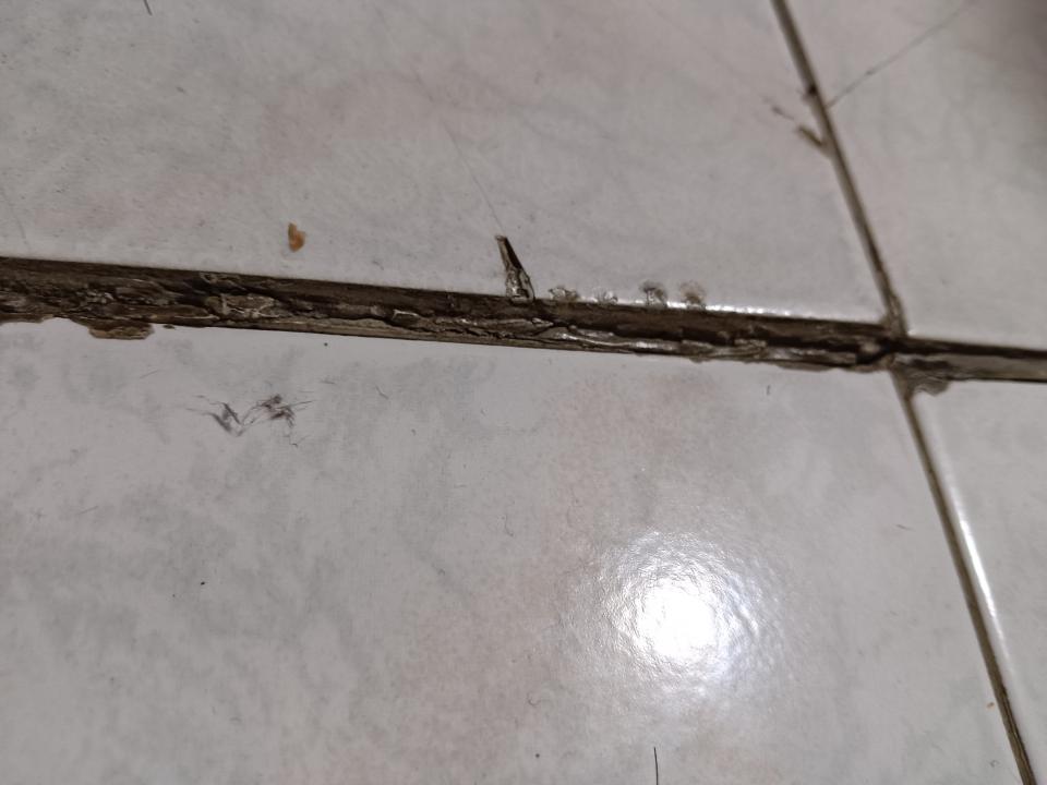 磁磚修補案件圖片