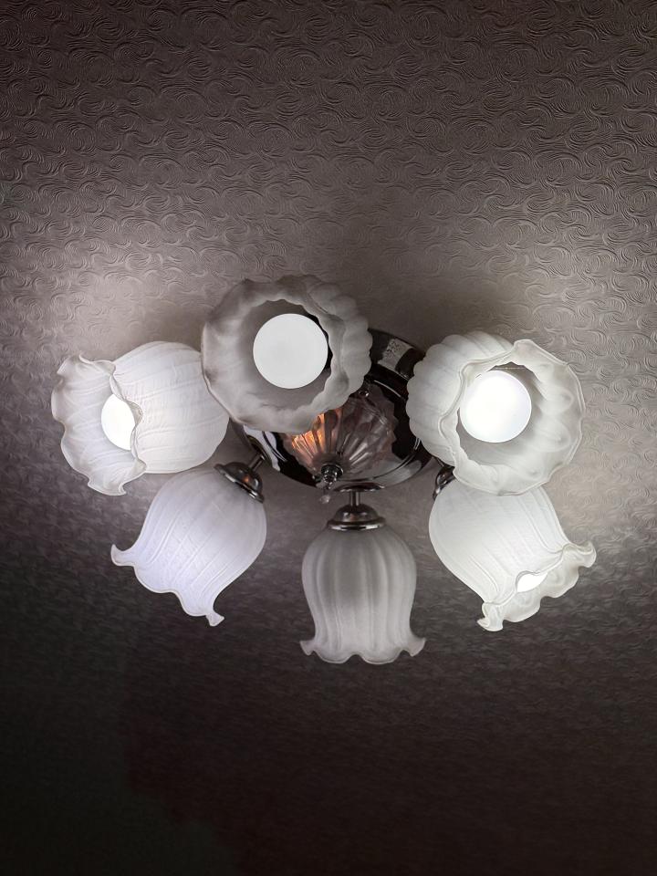 燈具維修案件圖片