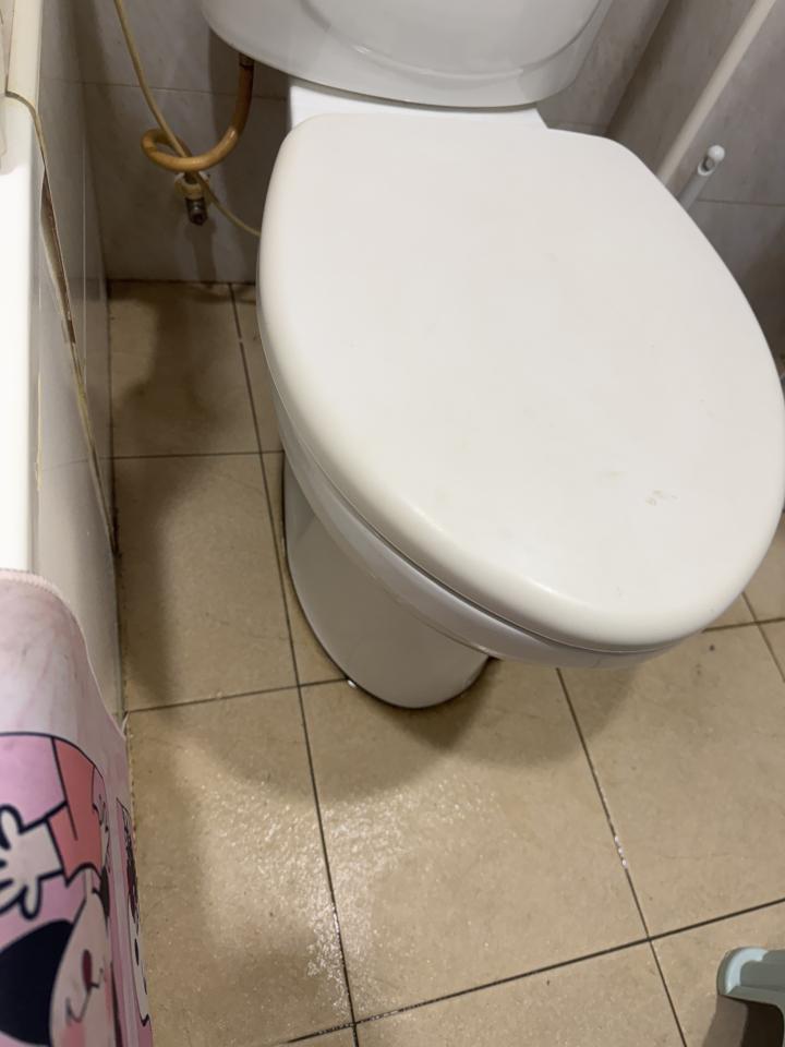 馬桶裝修案件圖片