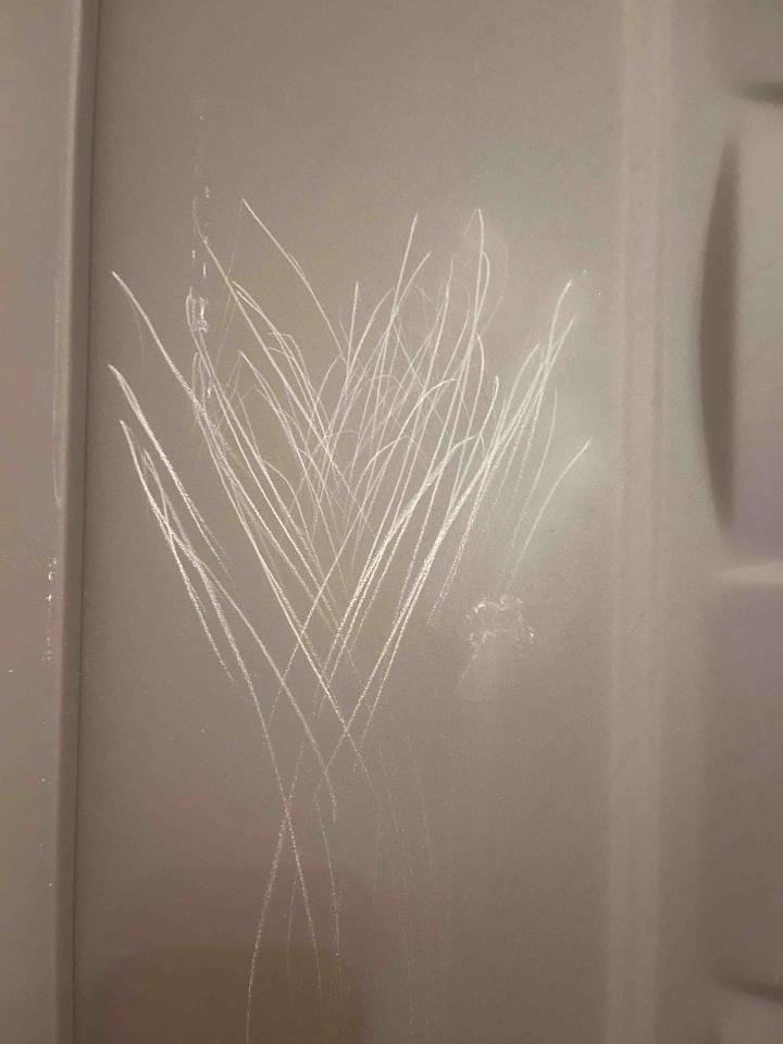 門片維修案件圖片