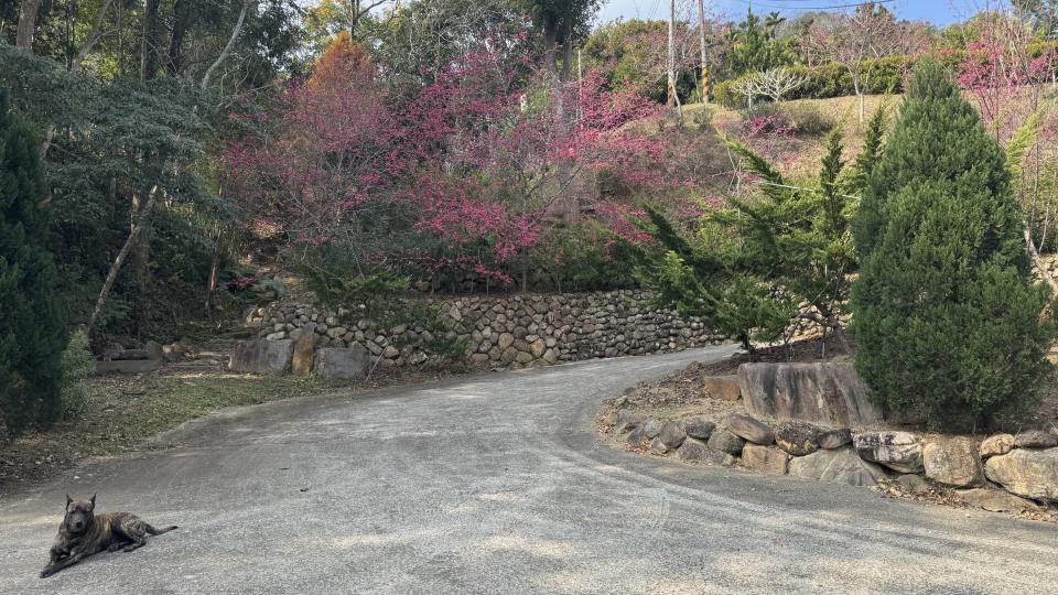 伸縮門案件圖片