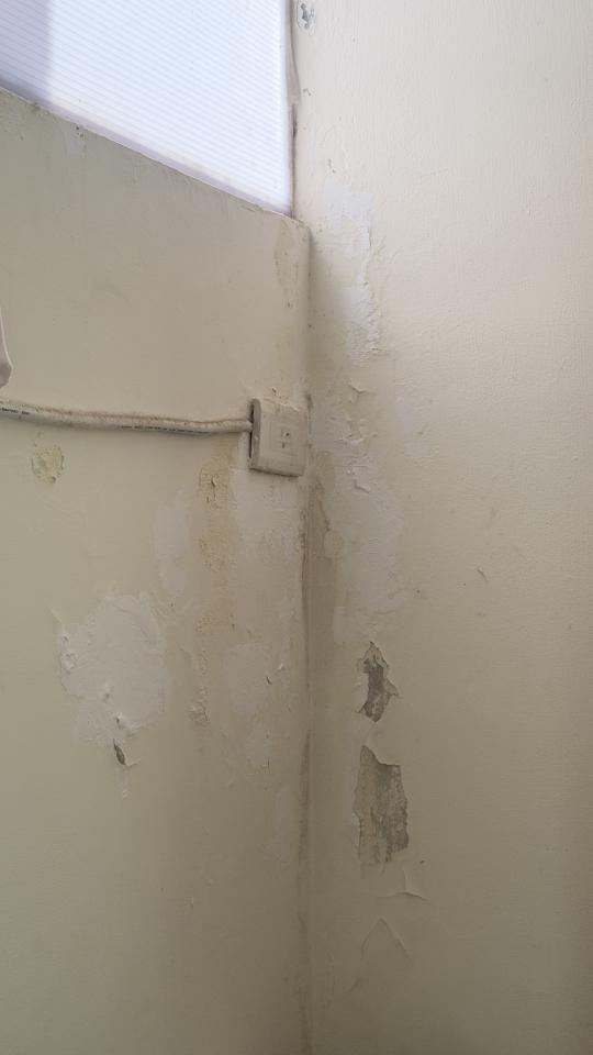 壁癌處理案件圖片