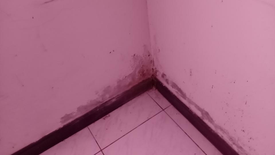 老屋翻新案件圖片