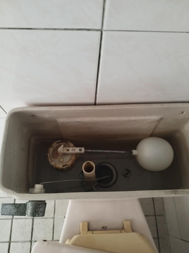 馬桶裝修案件圖片