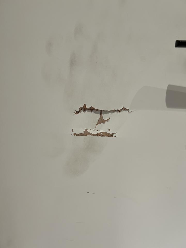 木工施工案件圖片