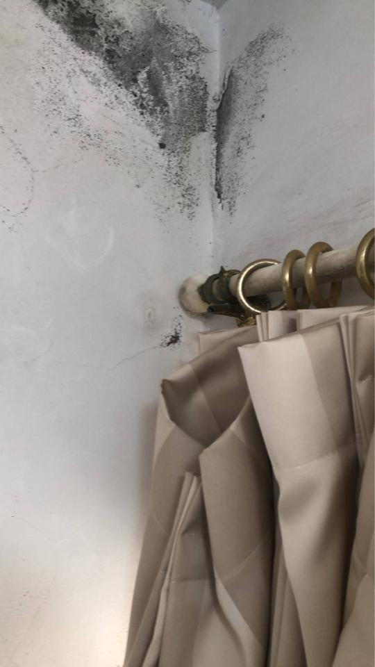 窗簾安裝維修案件圖片